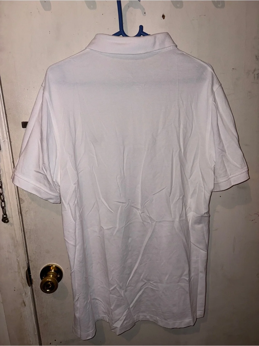 Burberry Brit Polo Shirt